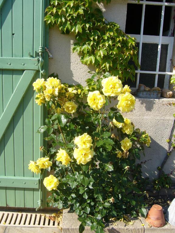 Chambres D'Hotes Le Mas Aire-sur-lʼAdour Eksteriør billede